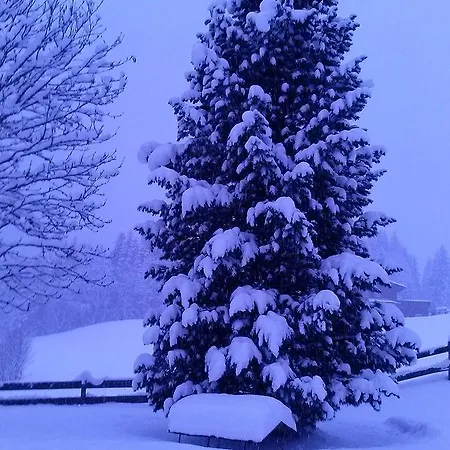 Haus Seiwald * Flachau